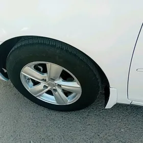 15lik diska pakryska