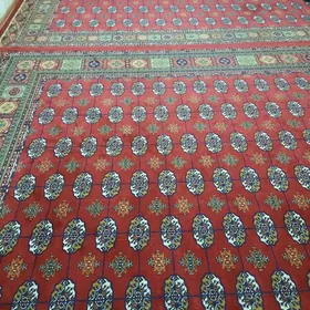 Tùrkiñ halysy ady AKMARAL