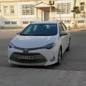 Toyota Corolla 2019