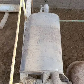 babyckaň gulşiteli