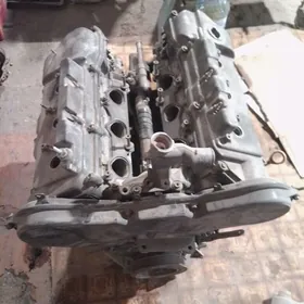 вивитай матор тоmator