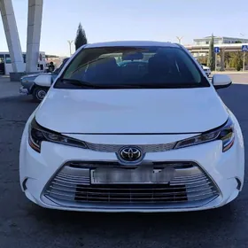 Toyota Corolla 2023