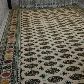 Haly turkun ýùñ halady