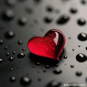 ARENDA YER ÇOGANLYDA