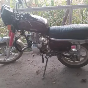 Fekon FK200-14G 2022