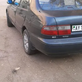 Toyota Corona 1995