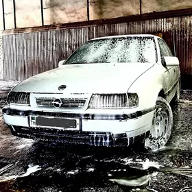 Opel Vectra 1991