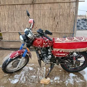 Fekon FK200-14G 2025