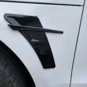 Žabra gapy krylo kapot bamper