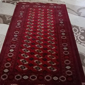 Taze Baherden el haly gyssagly