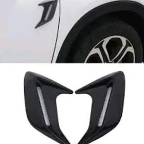 Žabra kapot krylo gapy bamper