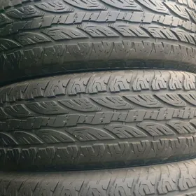 245 ,70 ,16 4şt Ýyly23