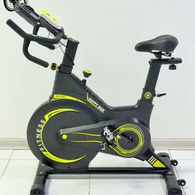 WELO TIGIR LIZA TENIS STOL