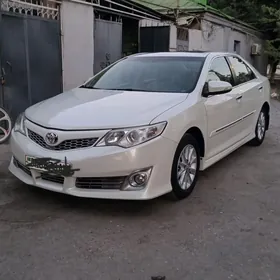 Toyota Camry 2013