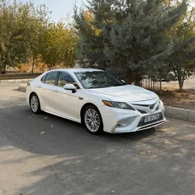 Toyota Camry 2020