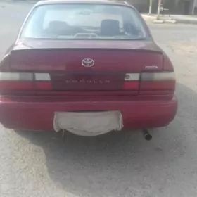 Toyota Corolla 1996