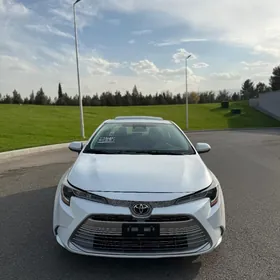 Toyota Corolla 2024