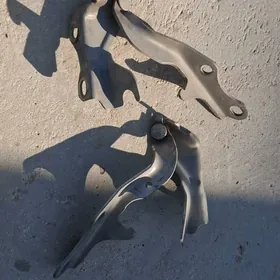 Kapot Petle 2001 kemri