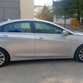 Hyundai Sonata 2010