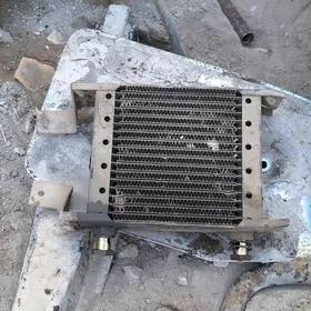 radiator gidrawlik