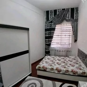 ARENDA NEWIT GAZ ELITKA 3 KOM