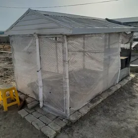 Towuk ketek товук кетек