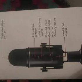 Mikrafon (ses yazgy)