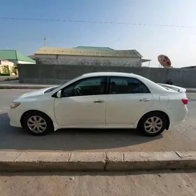 Toyota Corolla 2010
