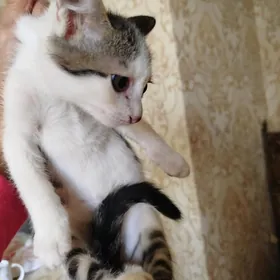 В самое доброе сердце