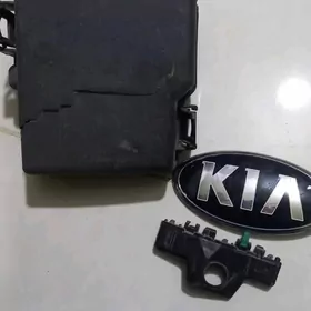 KIA ZAPCAST