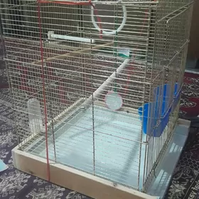 гуш кетек .клетка для попугая.