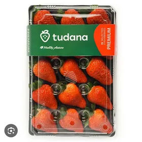 teplisa hasapcy gerek