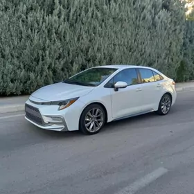 Toyota Corolla 2020