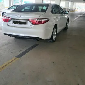 2017 kemry aziada fara çyra