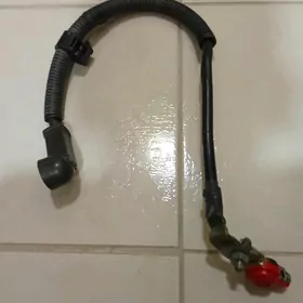 Klema toyota kemri okuz kelle