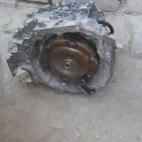 Öküz camry tazeje korobka💯