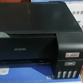 Epson 3210