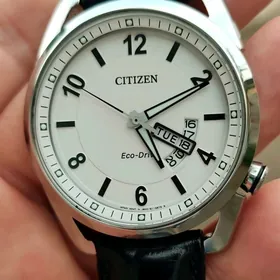 Sagat Часы Citizen Diver