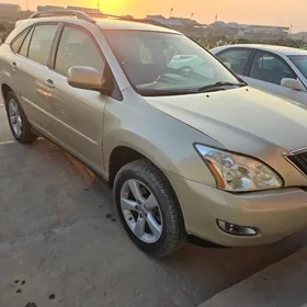 Lexus RX 330 2004