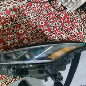 Chep Fara highlander2021