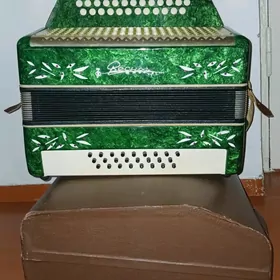 Гармонь и Гитара