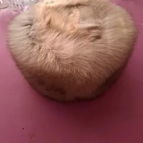 НОРКОВЫЕ ШАПКИ