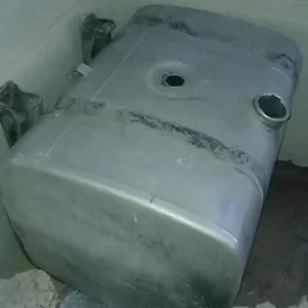 Дафын заваской багы