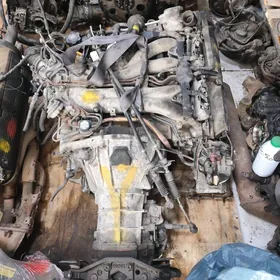 Prewia mator karopka