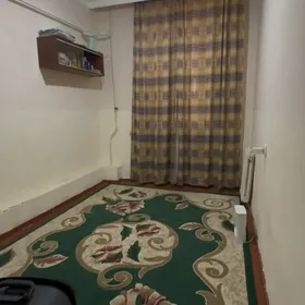 satlyk 1 komnat arzan