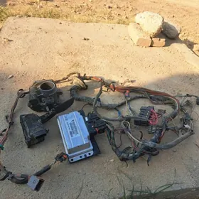 2115 kampyuter prawoda