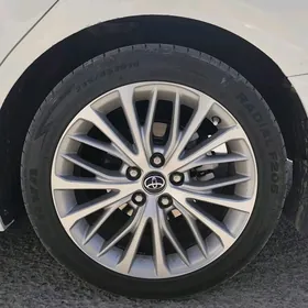 235_45_18  MINERVA  PROTEKTOR TAZE YALY