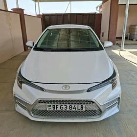 Toyota Corolla 2021
