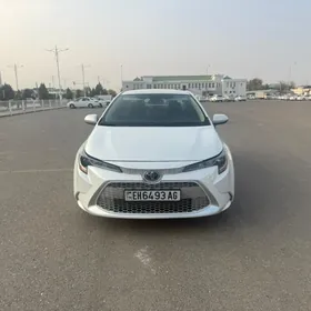Toyota Corolla 2020