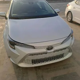 Toyota Corolla 2022